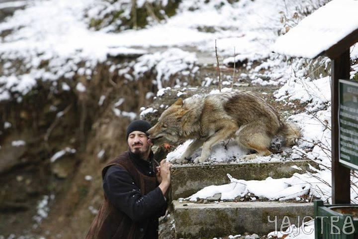 Монак Амвросије и Алфа